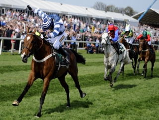 Oscar Whisky could head straight to the Festival.