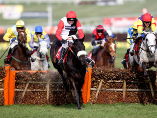 Big Buck's storms to victory at Cheltenham last year