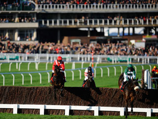 This week's action culminates with Cheltenham Festival Trials day