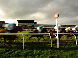 Will Paul have a winner at Exeter on Sunday