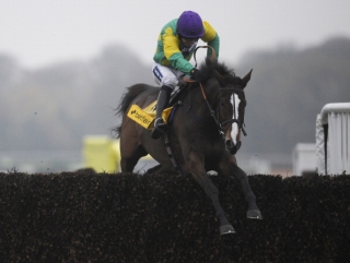 Paul Nicholls will be providing regular updates on the fitness of Kauto Star in his Betfair column