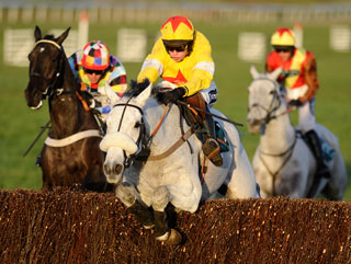 How will Neptune Collonges (above) handle the Haydock ground?