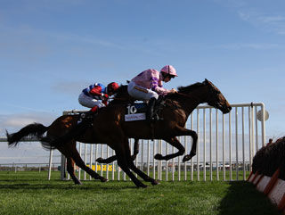 Ante-post favourite Zarkandar in action