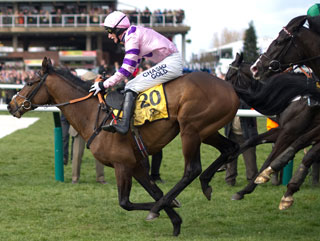 Zarkandar will be in action at Newbury on February 17