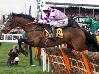 Zarkandar was Nicholls' only winner this weekend