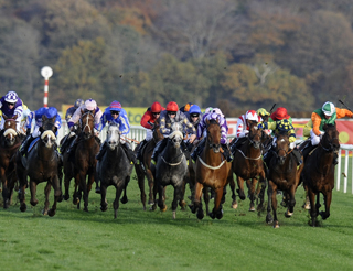 Will you back Paul's horses at Doncaster (above) on Saturday?