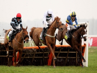 Recession Proof (centre) will not run in the Betfair Hurdle.