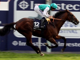 The Derby