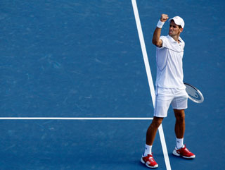Djokovic revels in his defeat of Federer