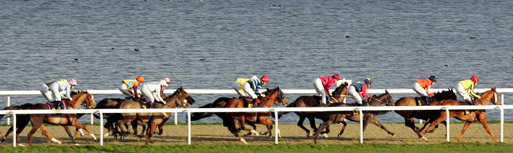 The BHA have announced which races ...