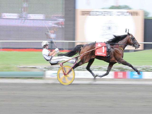 Meadowlands, US.jpg