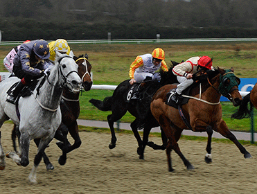 How to use the Betfair Chart to support your trading strategies