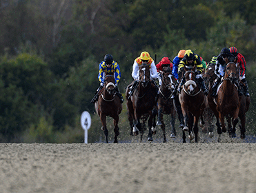 Trading on Betfair: How to spot a 'steamer' in racing markets