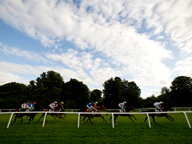 Add extra places to your each-way bet to increase your chances of winning