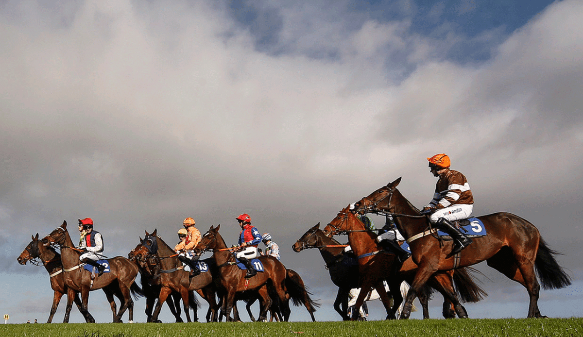 Horse at the start of a National Hunt race