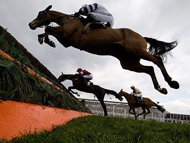 A ladder interface is useful for trading on volatile markets in-running horse races