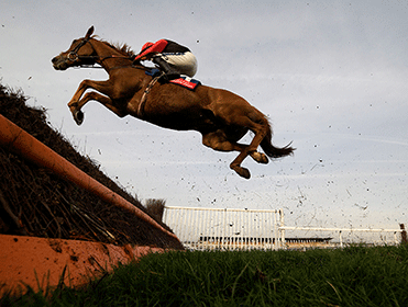 Automate Your Trades on Betfair