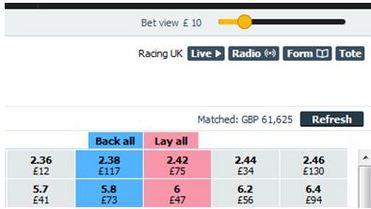 Bet slider screenshot.JPG