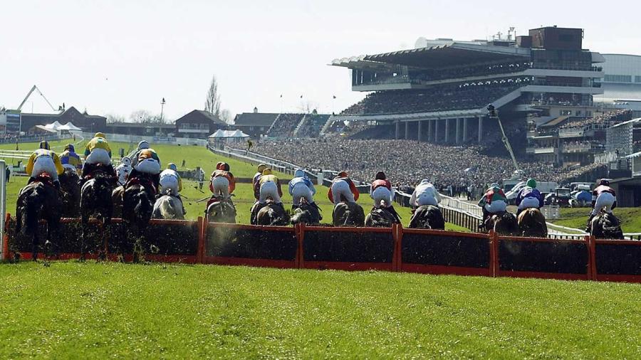 Cheltenham hurdle shot behind ground in distance 1280.jpg