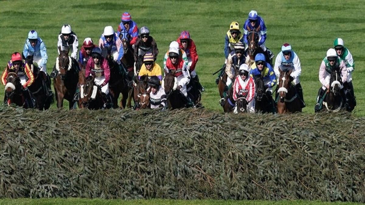 What are the most popular events to bet on?