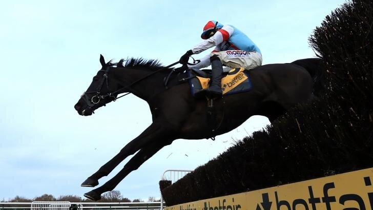 How to bet on Horse Racing