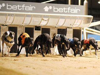 To back or to lay? That is the Betfair question