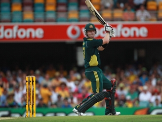 Hodge provides middle order balast
