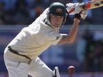 Ashes Diary: From Pup to Mongrel Image