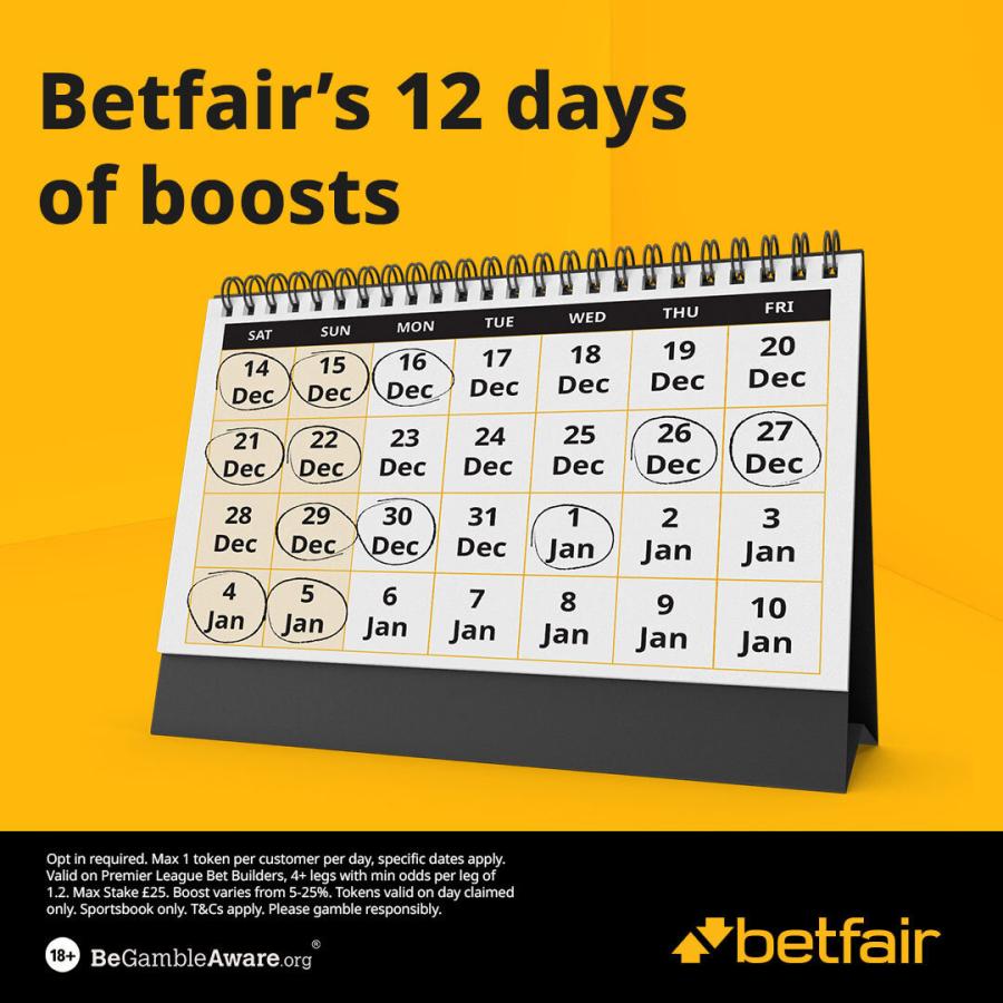 12-Days-of-Boost-1080x1080 Calendar (1).jpg