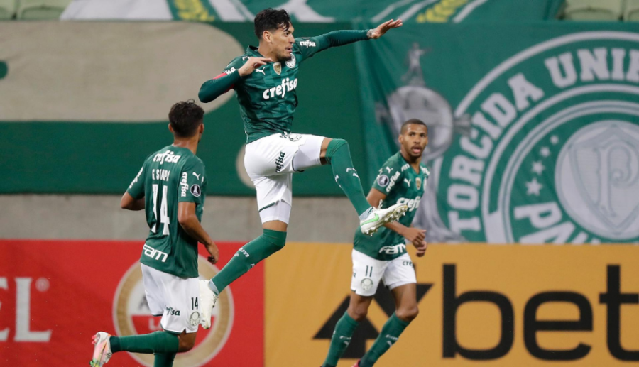 Palmeiras2.png