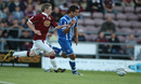 Brighton & Hove Albion Photo