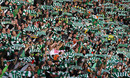 Celtic Photo