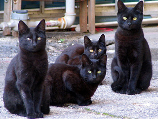 We decided to recruit another three just to be sure 