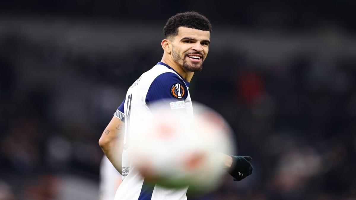 Dominic Solanke, Spurs 