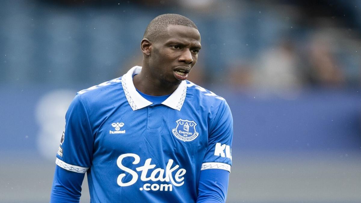 Abdoulaye Doucoure, Everton