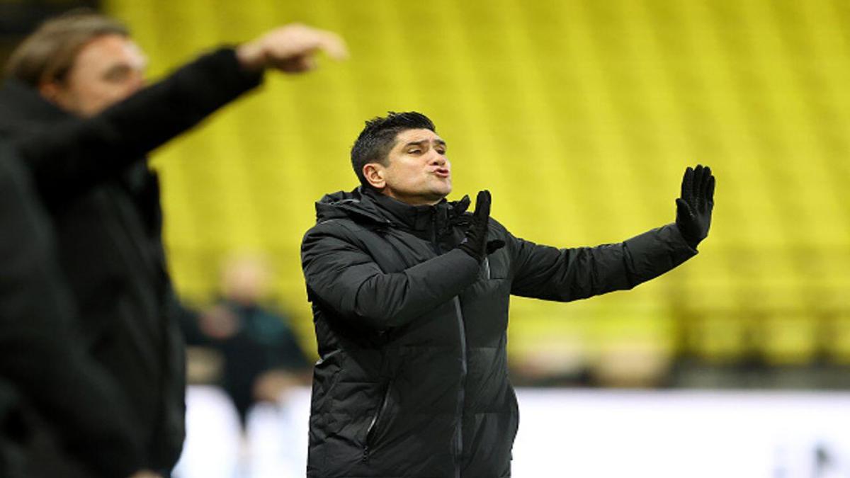 New Watford head coach Xisco Munoz