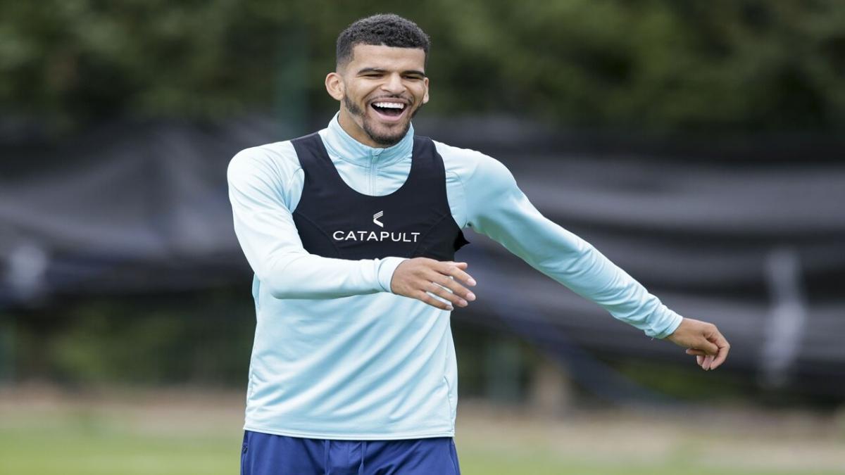 Dominic Solanke, Bournemouth