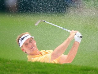David Toms has the best chance of Steve's outsiders