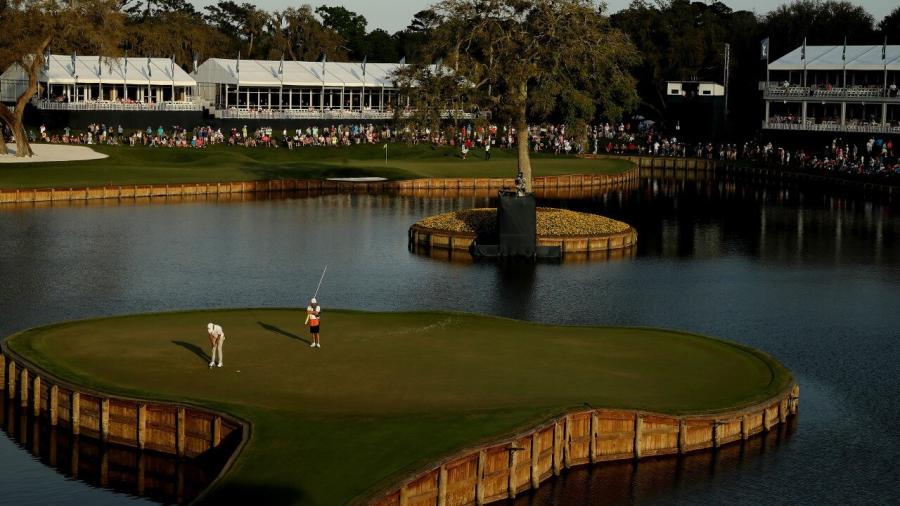SAWGRASS 1.jpg