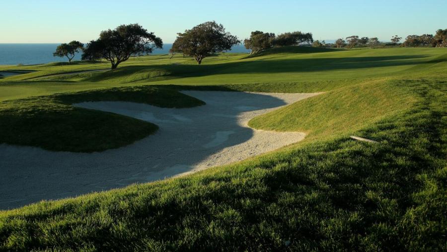 TORREY PINES US OPEN 4 2021.jpg