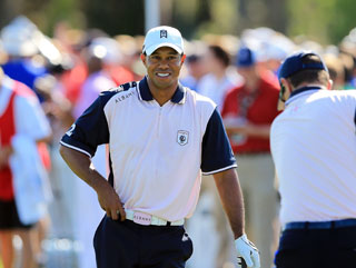 Tiger wasn't spectacular at this week's Tavistock Cup but he seemed to cope with 