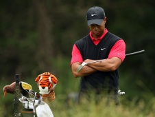 Tiger does occasionaly lose and this may be the week to take him on... 