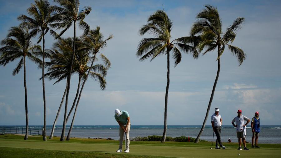 WAIALAE 2022 1.jpg