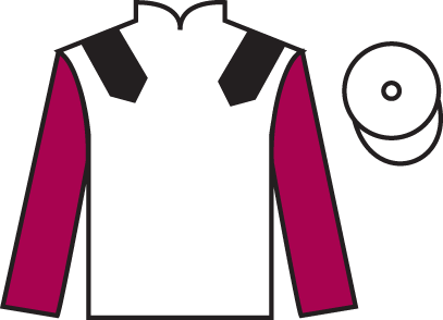 Callipso Collonges.png