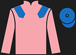 Final Nudge - Grand National - 2018.jpg