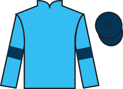 Highclere silks.png