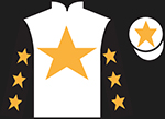 The Dutchman - Grand National - 2018.jpg
