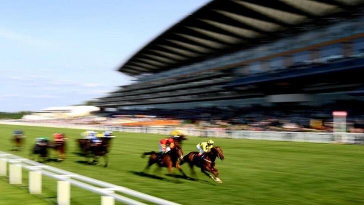 Royal Ascot stand blur.728x410.jpg