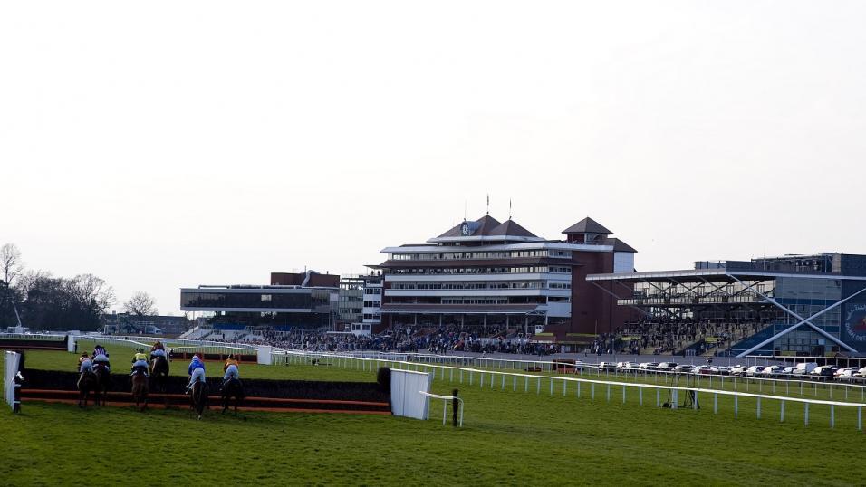 Horse racing at Newbury