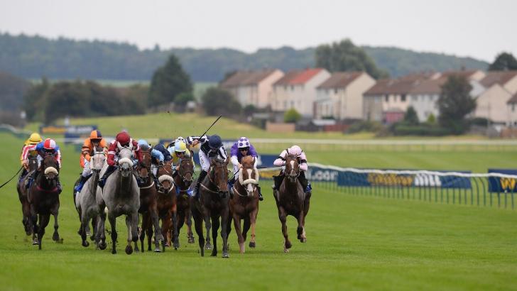 Ayr Gold Cup